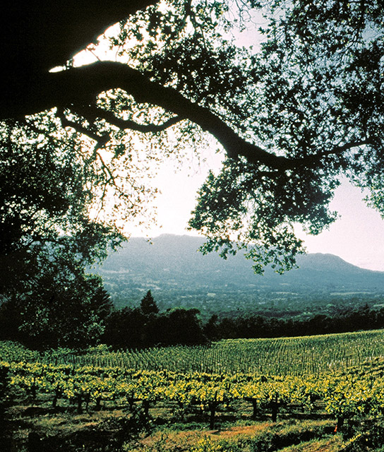 Design Hotels™ Destination: Healdsburg United States of America Healdsburg United States of America Design Hotels™